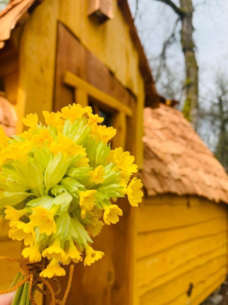 Camping Ushuaia Villages Au Bois Joli Andryes Экстерьер фото